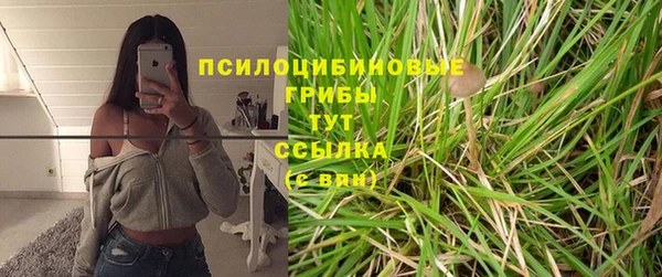 молекула духа Абинск