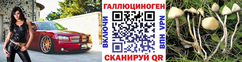 Галлюциногенные грибы мицелий  кракен как войти  Яровое 
